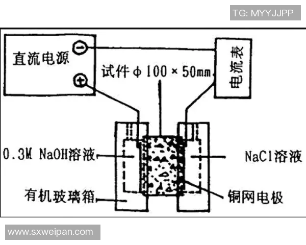 上海乒乓球队边路渗透战术分析及其对比赛结果的影响探讨