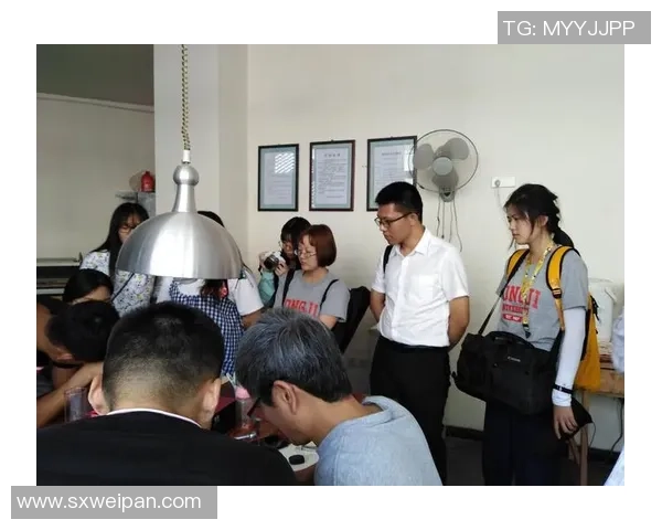 上海攀岩队成员个人能力深度对比与分析探讨